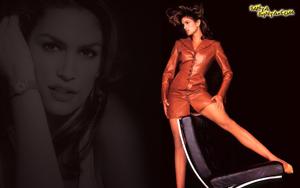 Cindy Crawford